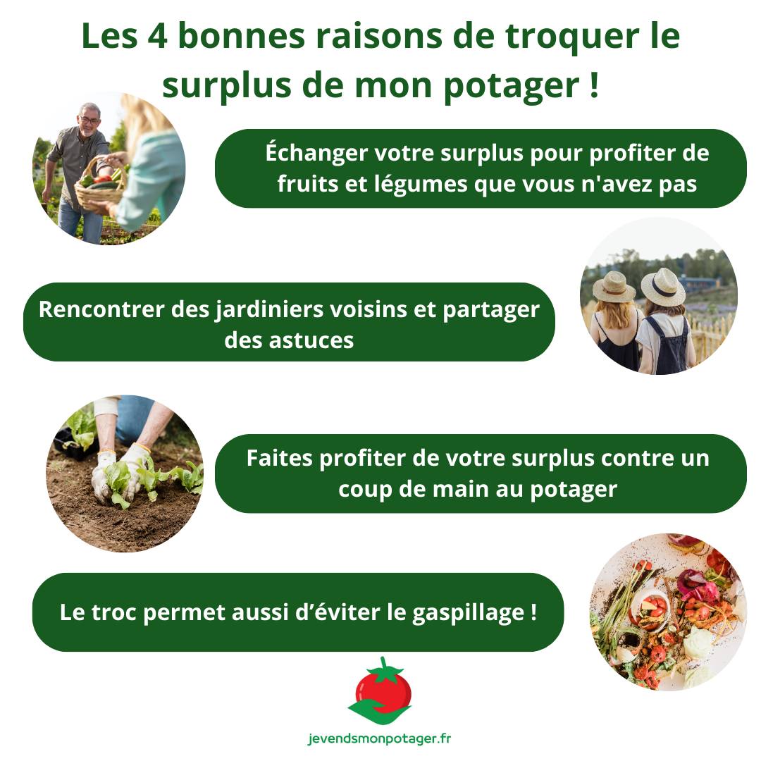 QUATRES BONNES RAISONS DE TROQUER LE SURPLUS DU POTAGER