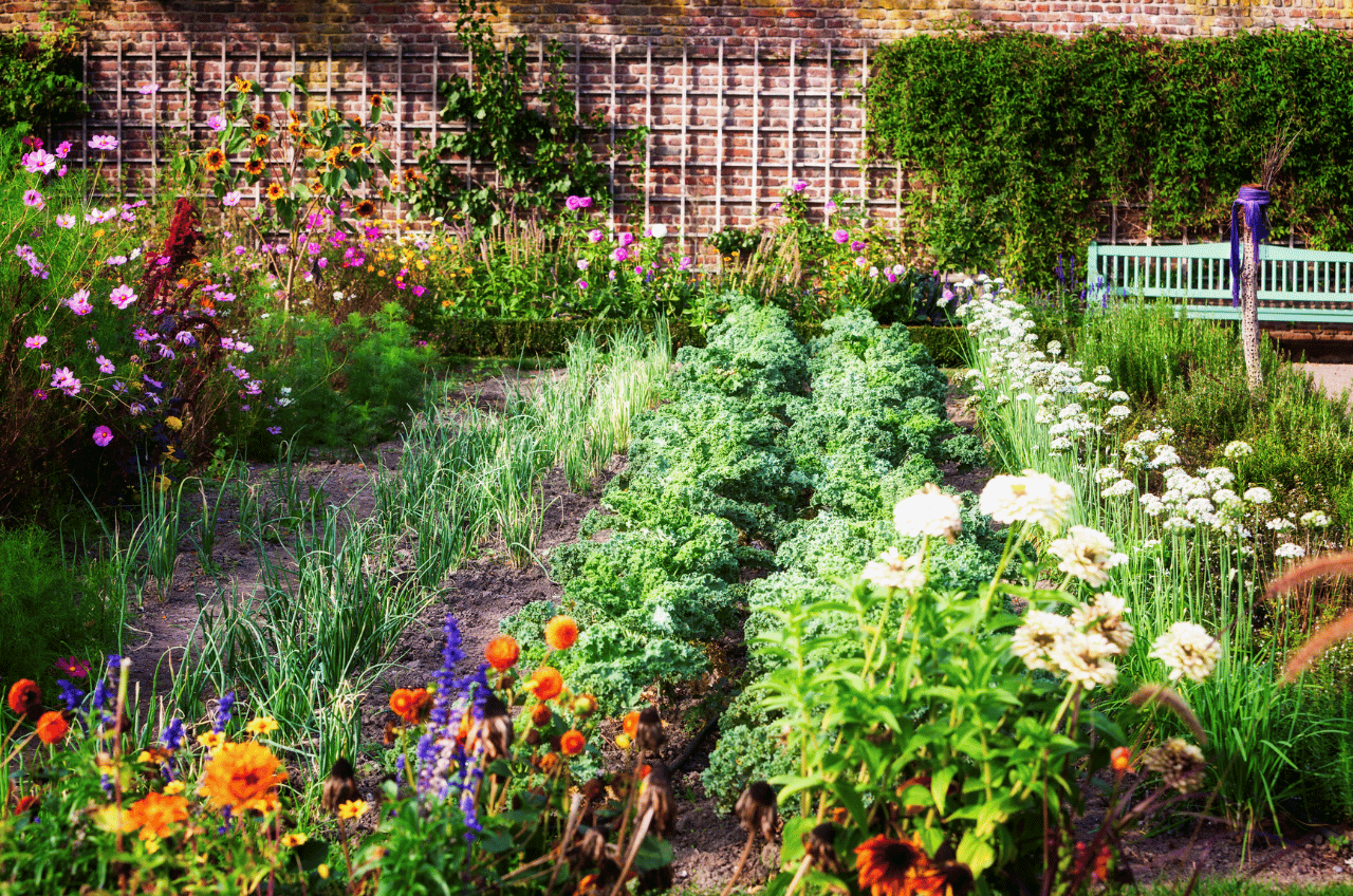 comment faire potager -jardin riche en légume