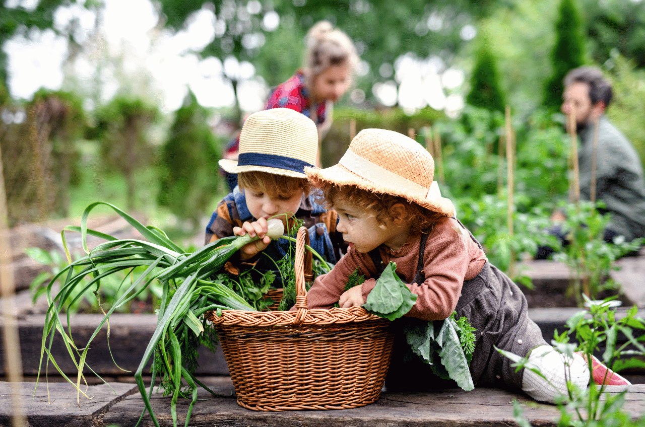 Potager Bio : Comment faire un jardin biologique ?