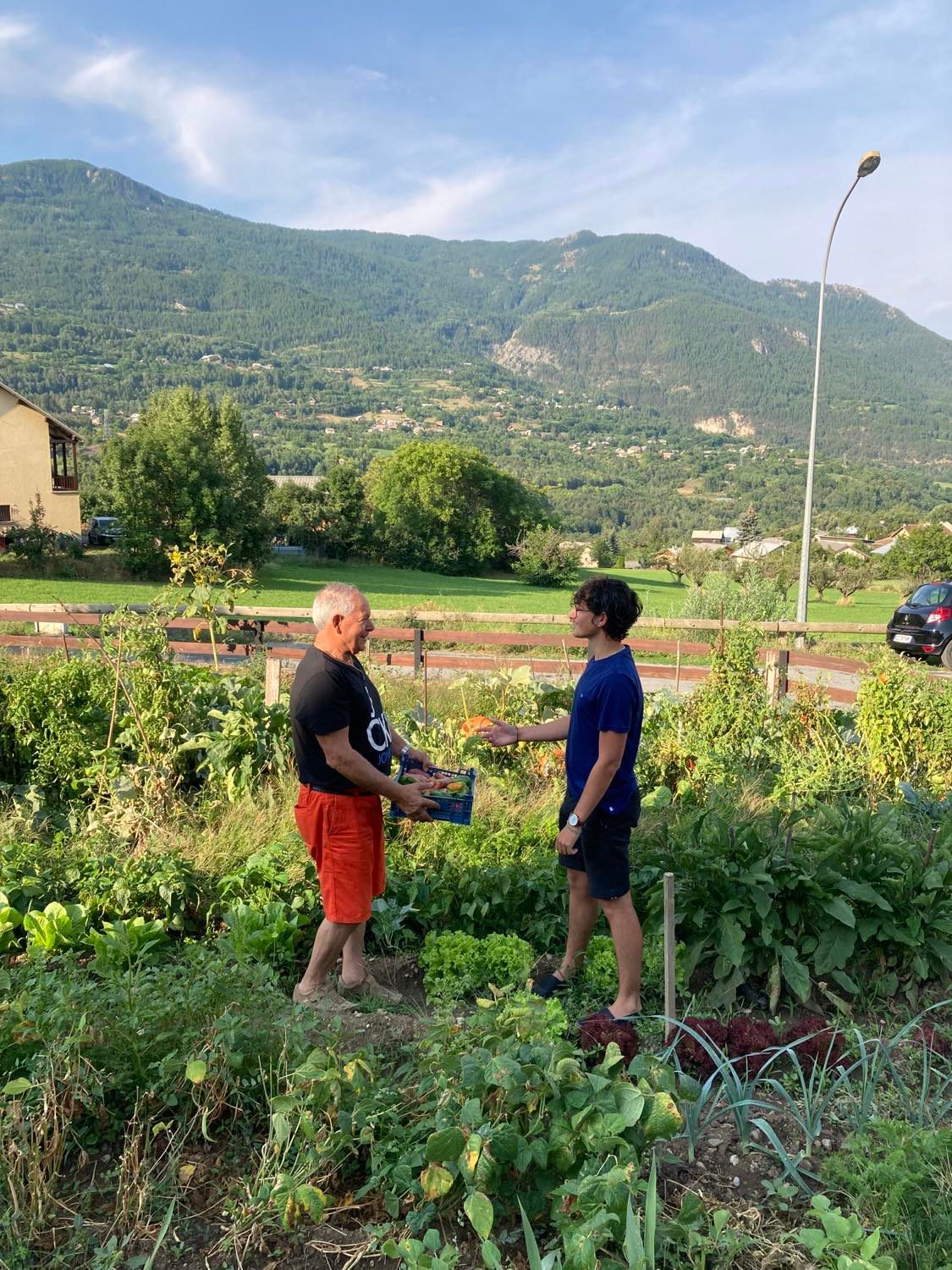 je vends mon potager